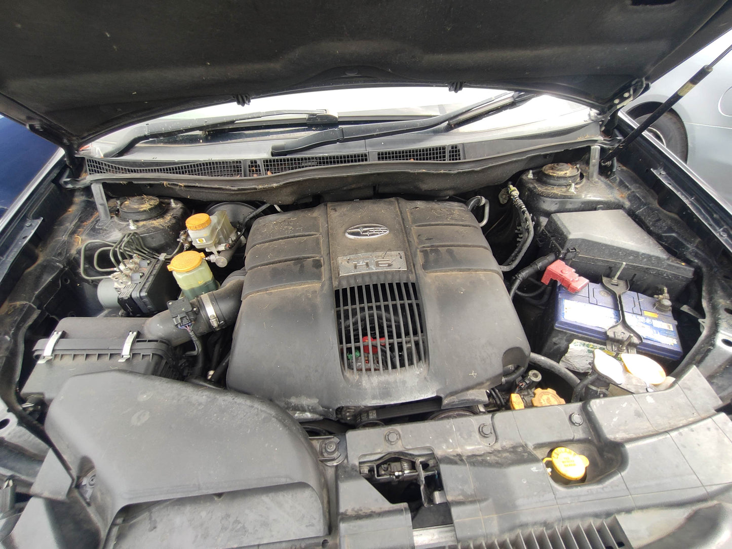 #491 SUBARU TRIBECA WXF 2008 FOR PARTS