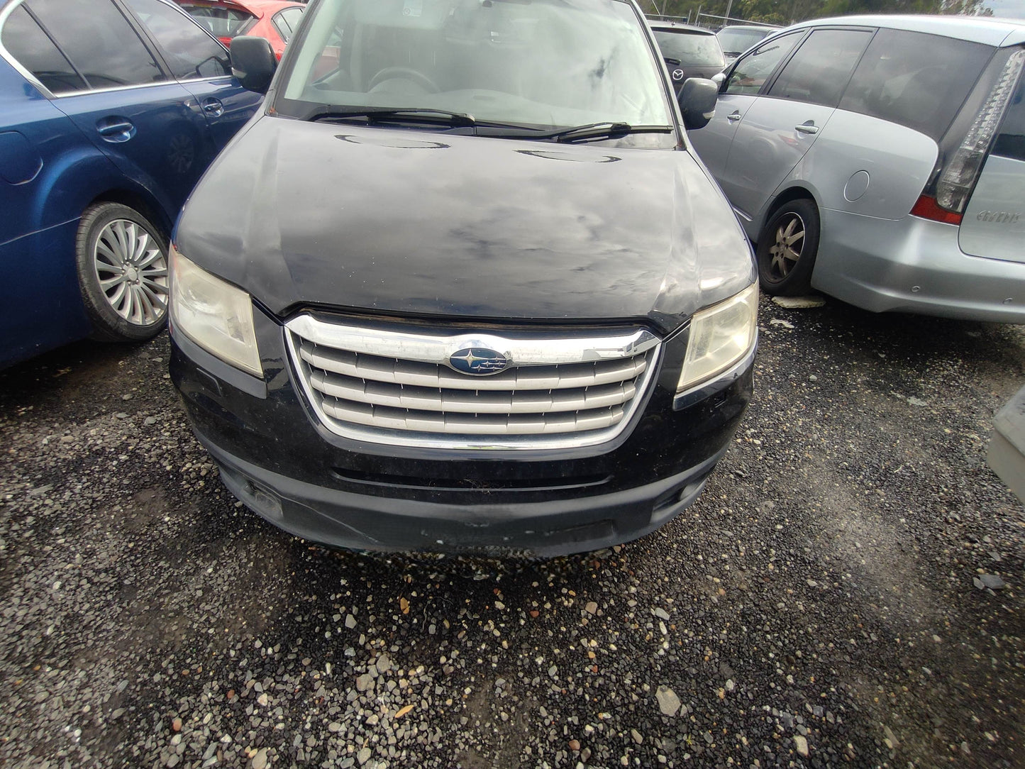 #491 SUBARU TRIBECA WXF 2008 FOR PARTS